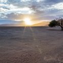 NAM HAR Dune45 2016NOV21 047 : 2016 - African Adventures, Hardap, Namibia, Southern, Africa, Dune 45, 2016, November